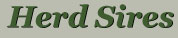 Herd Sires