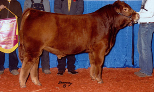 ANCHOR B 'THE SHMOOZE'